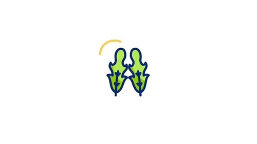 Arugula Animated Icon