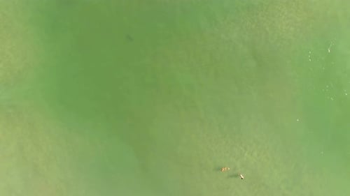 Danger, Shark In The Emerald Waters Near Two Swimmers, Aerial Shot Over The Ocean