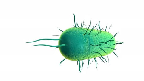 Detailed 3D rendering of a green rod bacterium