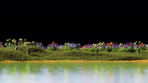 Flowers and Grass Reflecting in Water with Transparent Background