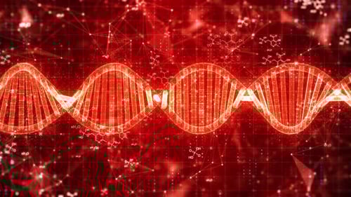 Futuristic Red DNA Double Helix Science Background Animation