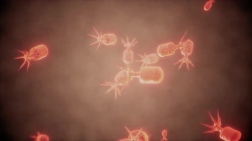 Animated Microscopic Organisms Floating in Biological Fluid