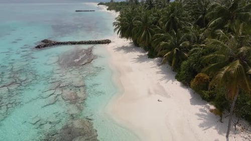 Incredible view of a beautiful Maldivian island with green trees, white sand and turquoise water and