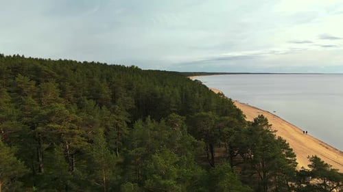 A Beautiful Aerial View Showcasing a Serene Beach Alongside a Lush Forest Landscape Full of Vibrant