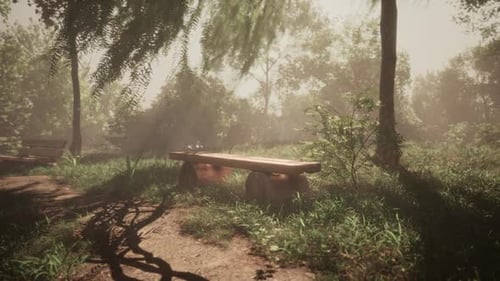 Relaxing Bench in a Serene Park Surrounded By Lush Greenery in Daylight