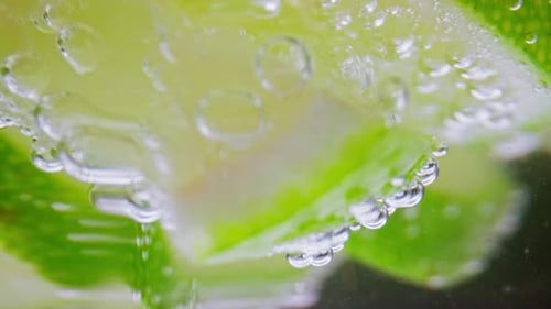 Lime Slices Under Water with Bubbles