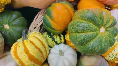 Decorative Halloween Pumpkins Stack For Sale In Market