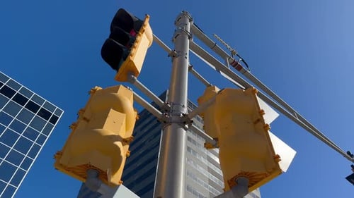 Vertical Traffic Light Changes Color Crossroads Big City
