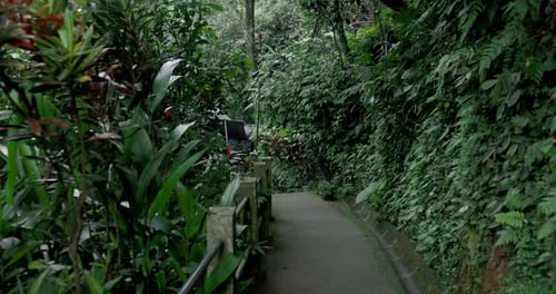 First Person View Walk on Foot Path in the Tropical Forest