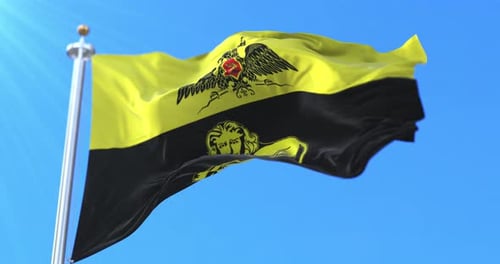 Yellow and Black Historical Waving Flag with Eagle and Lion