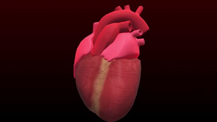 Digital Polygonal Heartbeat with Glowing ECG Line Animation ...