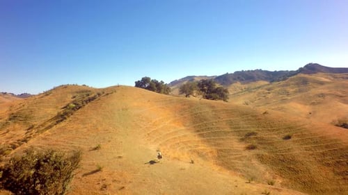 Cowboy On Horseback Traveling On Mountain Range On Sunny Day Slow Motion 3