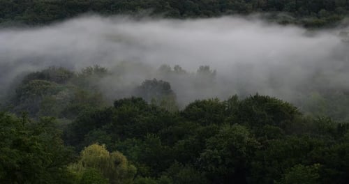 Fog over the forest in the mountains. Time lapse.