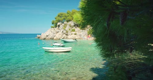 Boats float in turquoise bay near crowded beach with pine trees and rocky cliffs in clear Adriatic S
