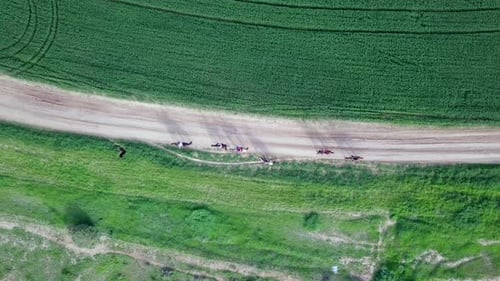 Horseback riding in a green Badlands terrain, aerial footage