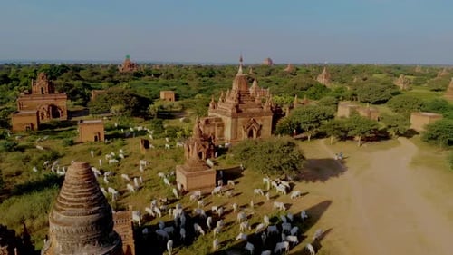 Explorez les temples à couper le souffle de Bagan, au Myanmar, au coucher du soleil avec des paysages époustouflants