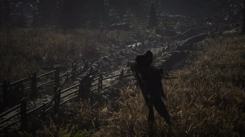 Scarecrow on the Old Village Field