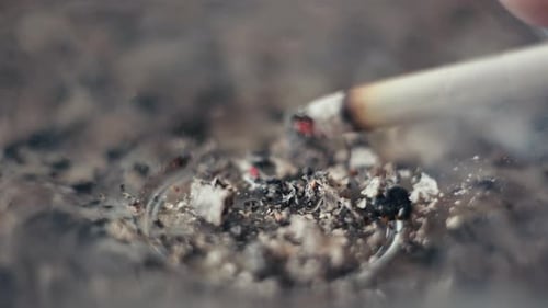 Shakes Off the Ashes From a Burning Cigarette Nicotine Addiction Bad Habit Diseases of the Lungs and