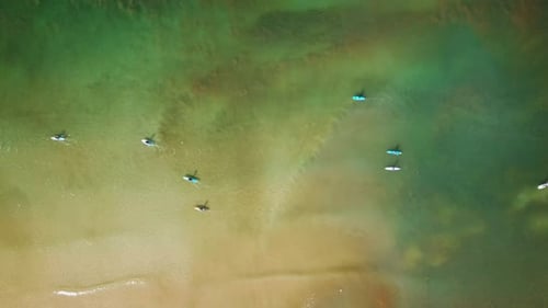 SUP surfers paddling along a Mediterranean coast