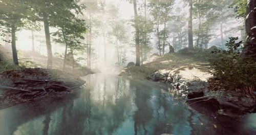 Tranquil Morning By the Misty River in a Serene Forest Landscape
