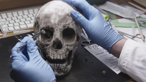 Forensic anthropologist takes evidence sample from human skull
