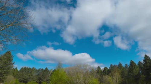 Timelapse clouds moving over green trees and clear blue sky in a peaceful natural setting
