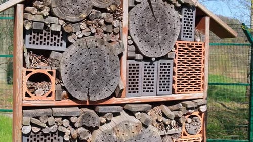 Bees Flying and Carrying Leaf Back to Bee Hotel Nest