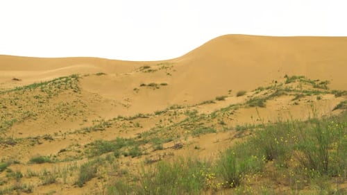 Sarykum est la plus grande dune de sable d'Europe, réserve naturelle du Daghestan, dune de sable caucasienne