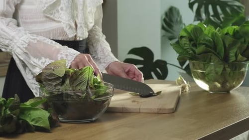 Vegetarischer Salat mit Gemüse, Keto-Paleo-Diät. Römersalat in Scheiben schneiden
, grüne Blätter