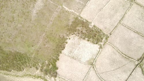 Trockene, rissige Dürre, zerklüftete landwirtschaftliche Landabschnitte, Luftbild, rotierend, über karg, beschädigt l