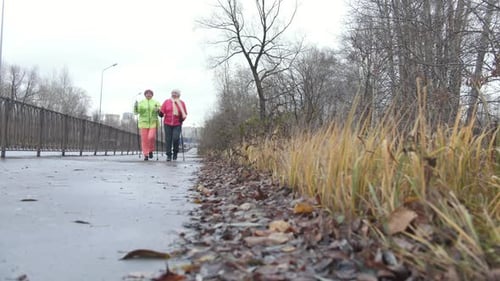 Active Senior Women Enjoy Nordic Walking Outdoors