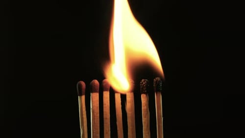 Matches Igniting and Burning in Close Up
