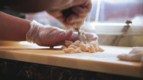 Gloved Hands Dicing Fresh Seafood in Restaurant Kitchen