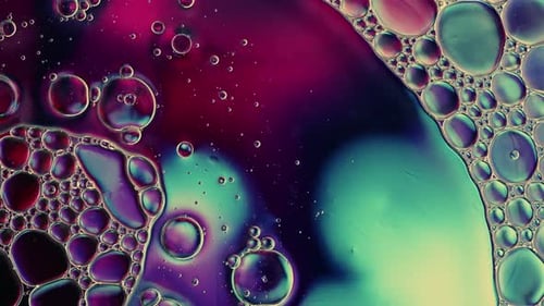 Abstract Colorful Food Oil Drops Bubbles And Spheres Flowing On Water A Surface 59