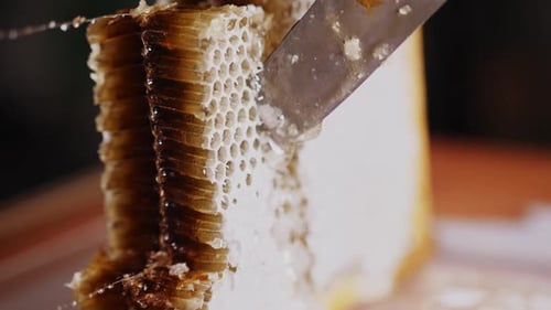 Honey Drop Pours From Knife Cutting Sweet Honeycombs Macro