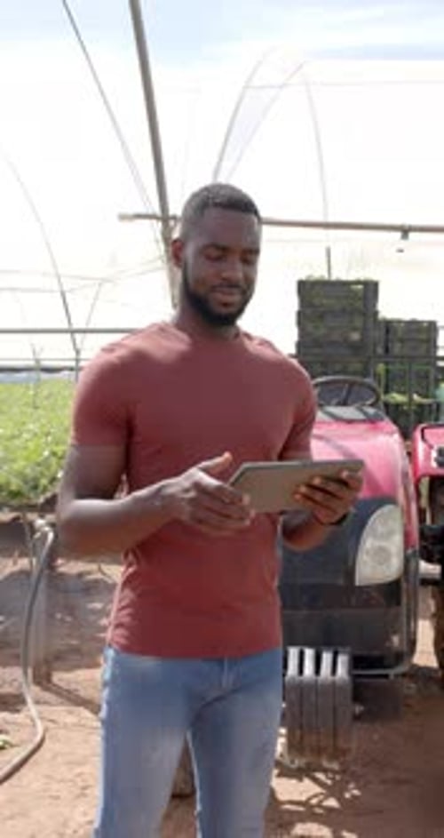 Vertical video: Managing hydroponic vegetable garden in greenhouse, farmer holding tablet