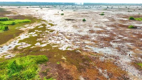 An aerial view of wetland.