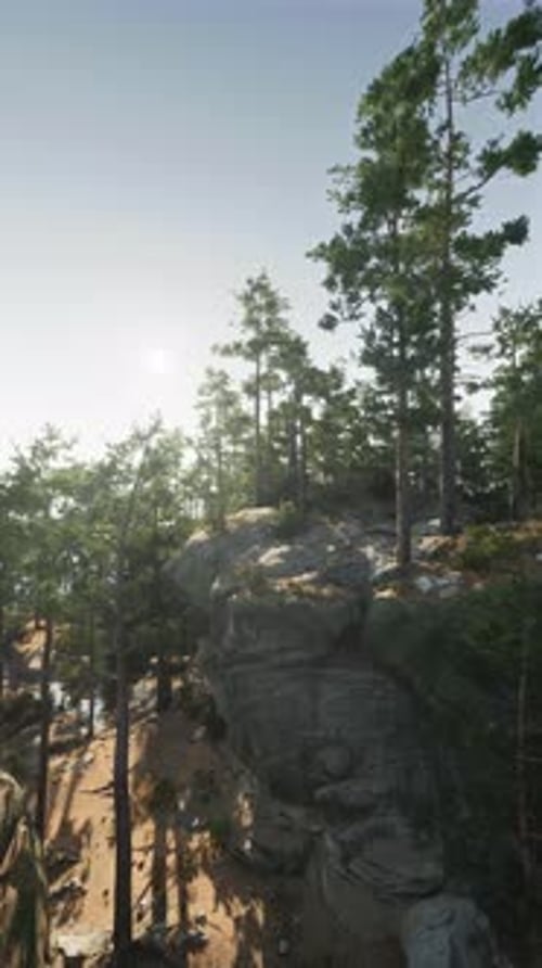 Sunlight Filtering Through Trees on Rocky Cliff