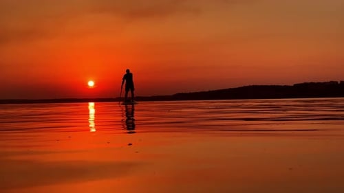 Calm windless evening on the river. Male sportsman practicing sup boarding at sunset. Low angle view