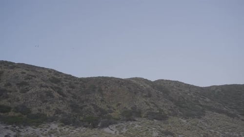 Panoramique d'un flanc de colline recouvert d'arbres avec un ciel bleu pâle sans nuages, situé sur la plage sud de Mondo