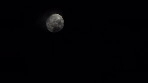 Full Moon Rising in the Night Sky