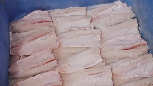 Salted Fish Fillets in a Blue Container