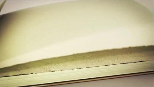 Realistic Book Opening Animation with Pages Turning Reveal