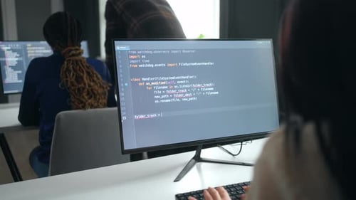 Data Scientist and Frontend Web Developer in Office Woman Writing Program Code Software Testers