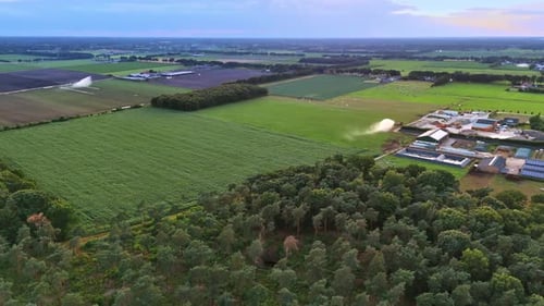 Rural fields and forests. Aerial view of lush fields and a forest edge with farmland