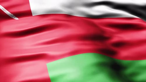 Oman Custom Flag Texture Background