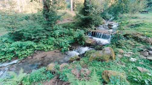 Beautiful Stream of a Small Mountain River in the Carpathians Mountains