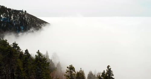 A sea of mist in the top of a mountain in California.