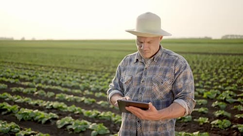 Farmer Man Using Tablet at Field Portrait Male Farmer