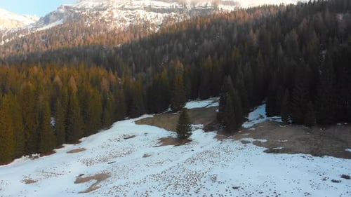 A Landscape of Snowy Forest and Mountains Dolomites Italy